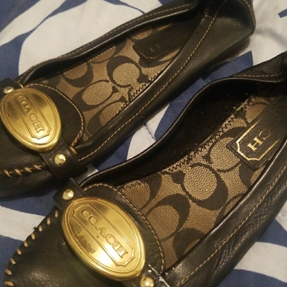 Blue Coach Shoes